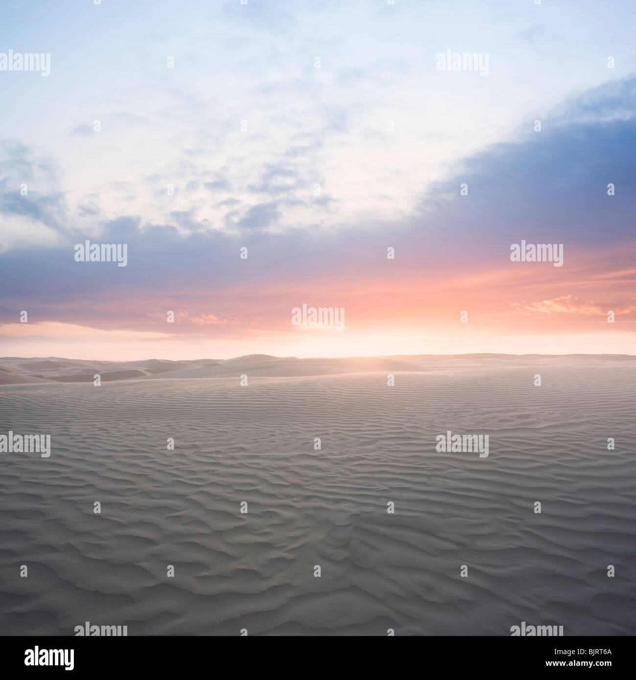 Sonnenaufgang über der Wüste, Little Sahara, Utah, USA Stockfoto