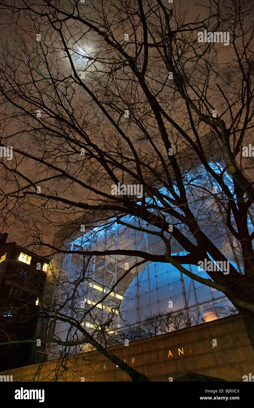 Rose Erde des Rechenzentrums Stockfoto