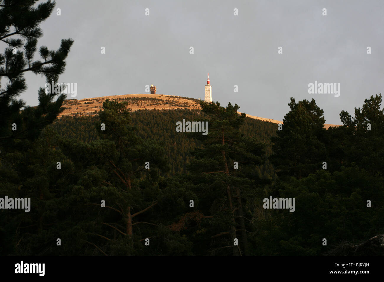 Der Gipfel des Mont Ventoux, in Vaucluse, Provence, Frankreich Stockfoto