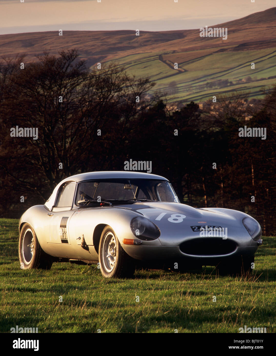 Leichte oder Wettbewerb Jaguar E-Type Stockfoto