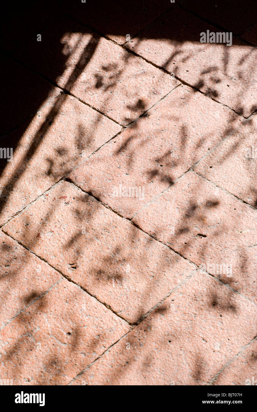 Schatten-Muster auf geflieste Terrakottaboden Stockfoto