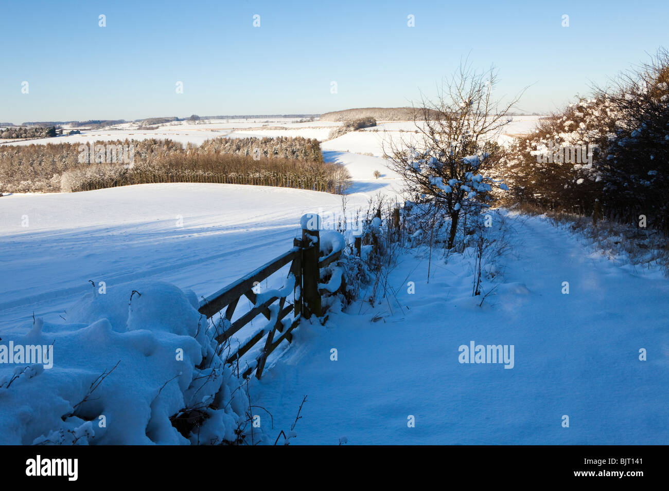 Winter in den Cotswolds - der Fußweg von Broadwater unten in der Nähe von Farmington, kalten verschneit, Gloucestershire Aston Stockfoto