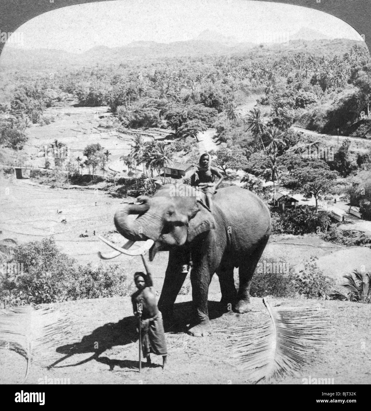 Ein Elefant und seinem Pfleger, Sri Lanka, 1902. Artist: Underwood & Underwood Stockfoto