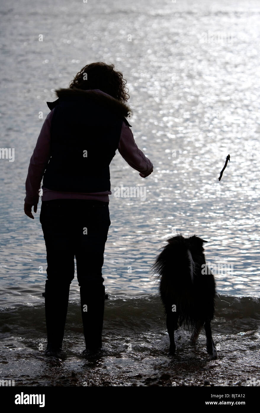 Freizeit Frauen Eigentümer werfen Stick für Hund Silhouette Gosport, UK Stockfoto