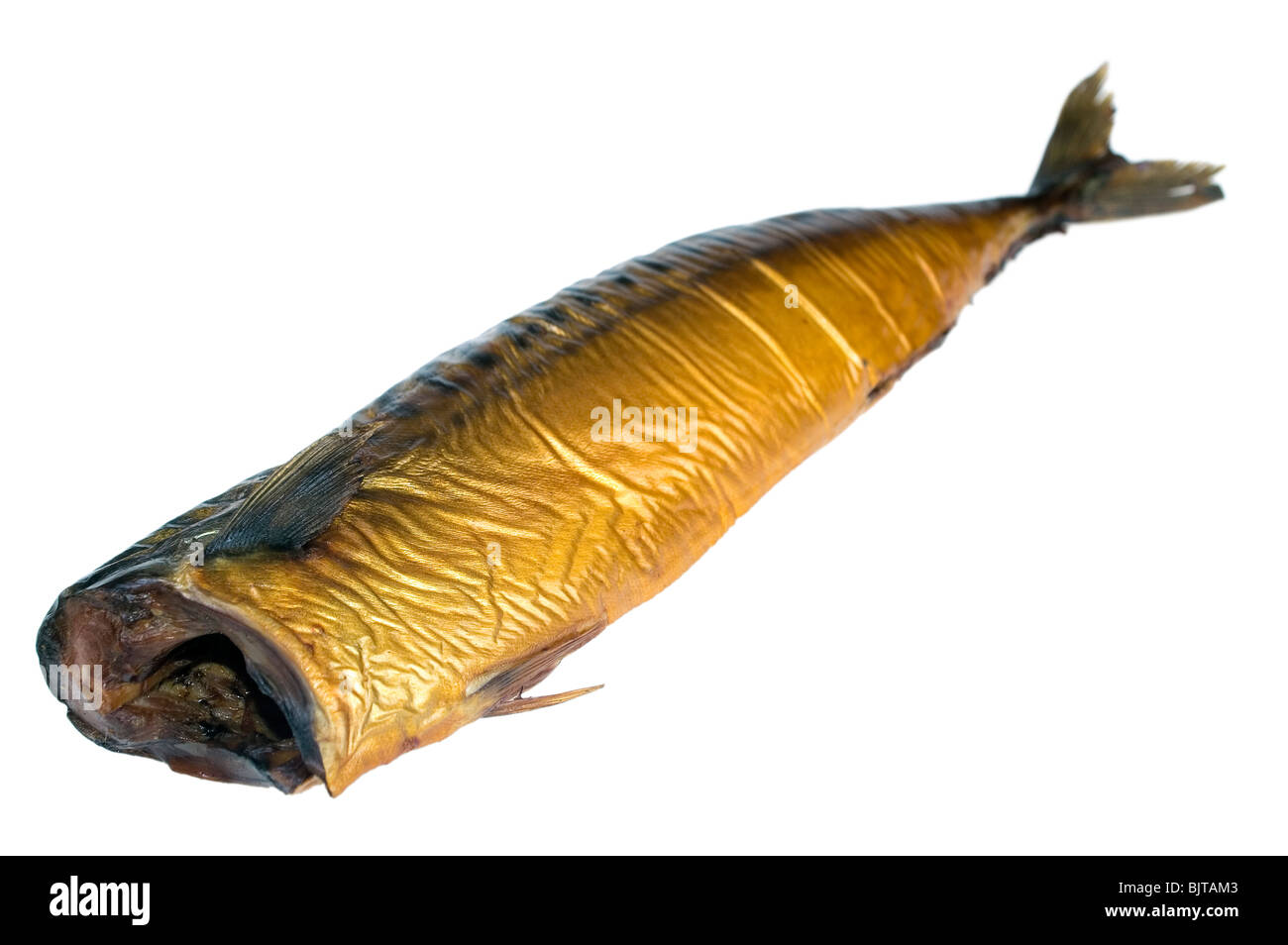 Geräucherte Makrele, gold Fisch isoliert auf weißem Hintergrund Stockfoto