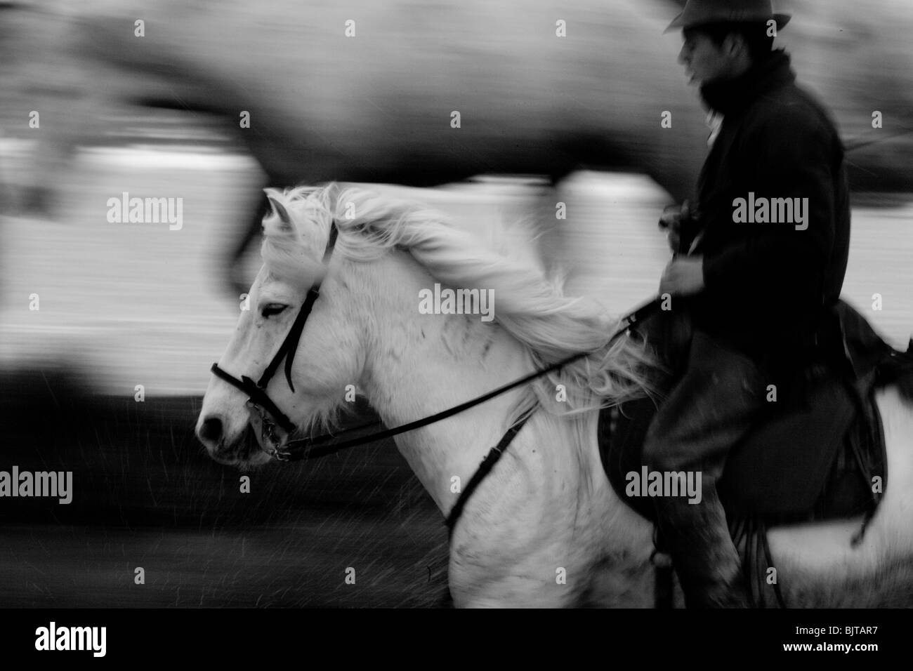 Typische Camargue-Reiter und sein Pferd Reiten auf Marsches, Regionalpark Camargue, Südfrankreich. Stockfoto