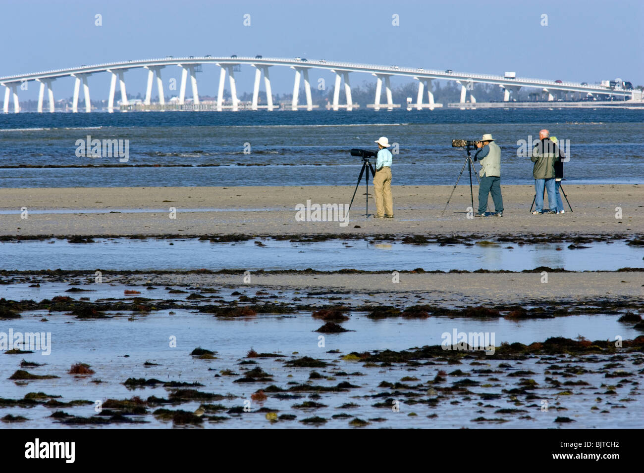 Fotografen im Bunche Beach, Fort Meyers, Florida USA Stockfoto