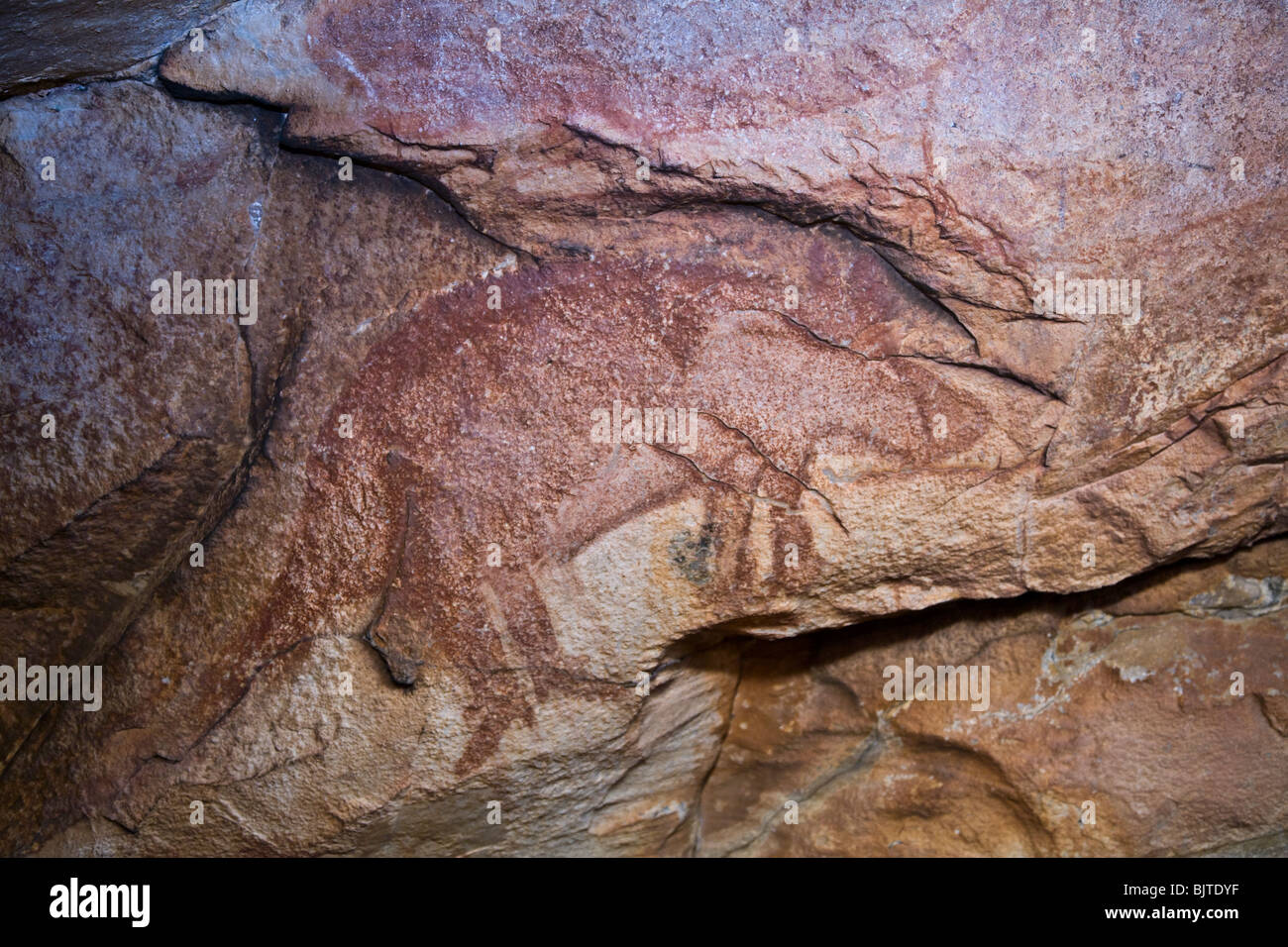 Gwion Gwion oder Bradshaw Felskunst Jar Insel Vansittart Bay Australien Stockfoto