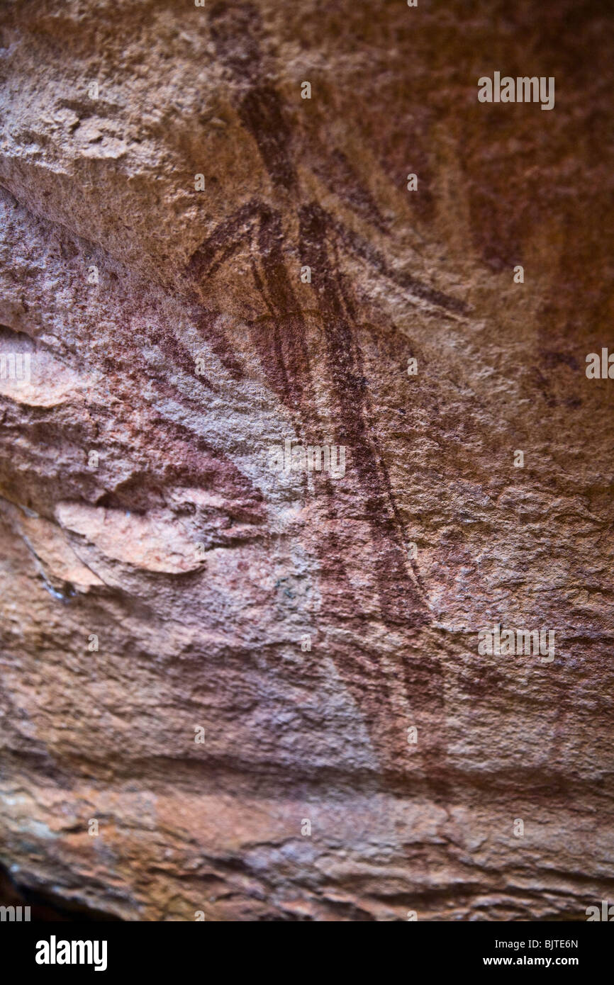 Gwion Gwion oder Bradshaw Felskunst Jar Insel Vansittart Bay Australien Stockfoto