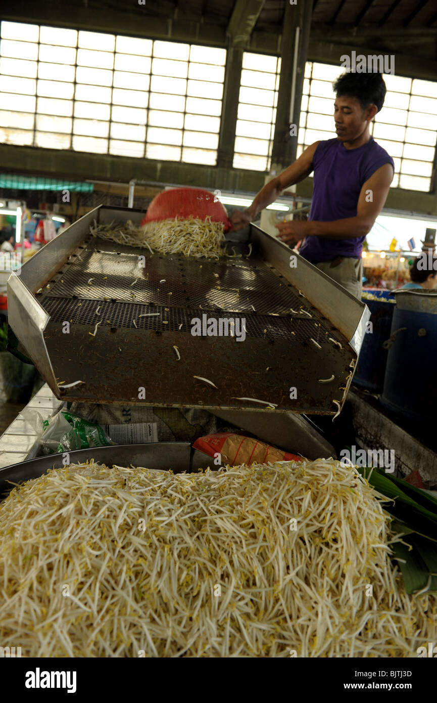 Sojasprossen mit Maschine und Hand, sortiert Wongwian Yai und Bang Yi Ruea Markt, Thon Buri, Thailand Stockfoto