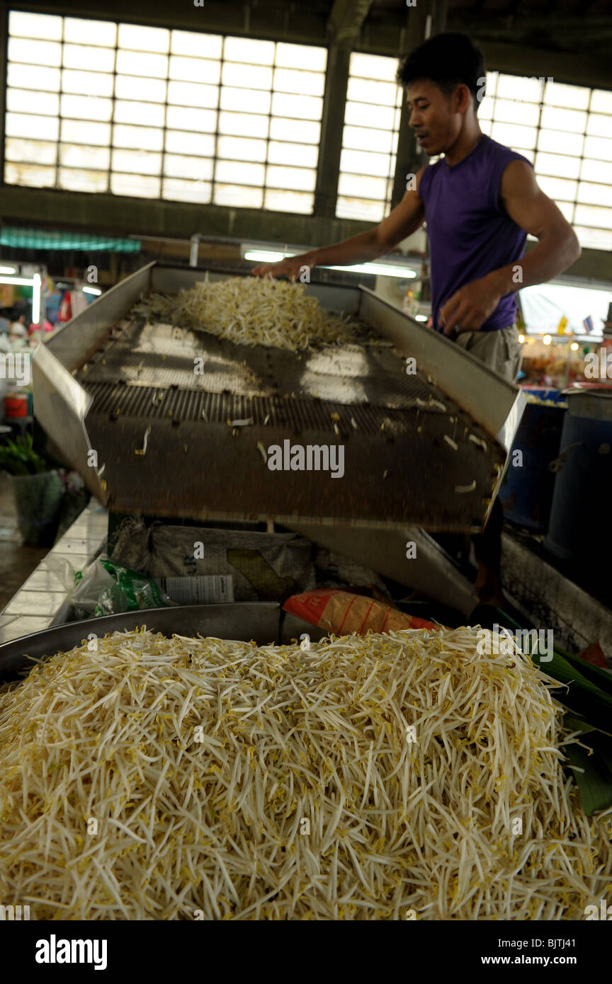 Sojasprossen mit Maschine und Hand, sortiert Wongwian Yai und Bang Yi Ruea Markt, Thon Buri, Thailand Stockfoto