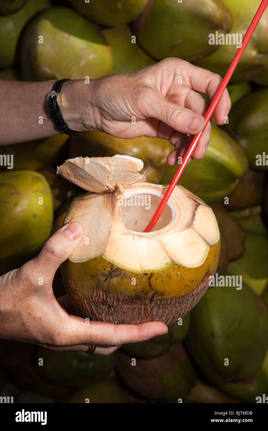 Indien, Kerala, Palakkad, westlichen Touristen Hände halten junge Kokosnuss zum trinken Stockfoto