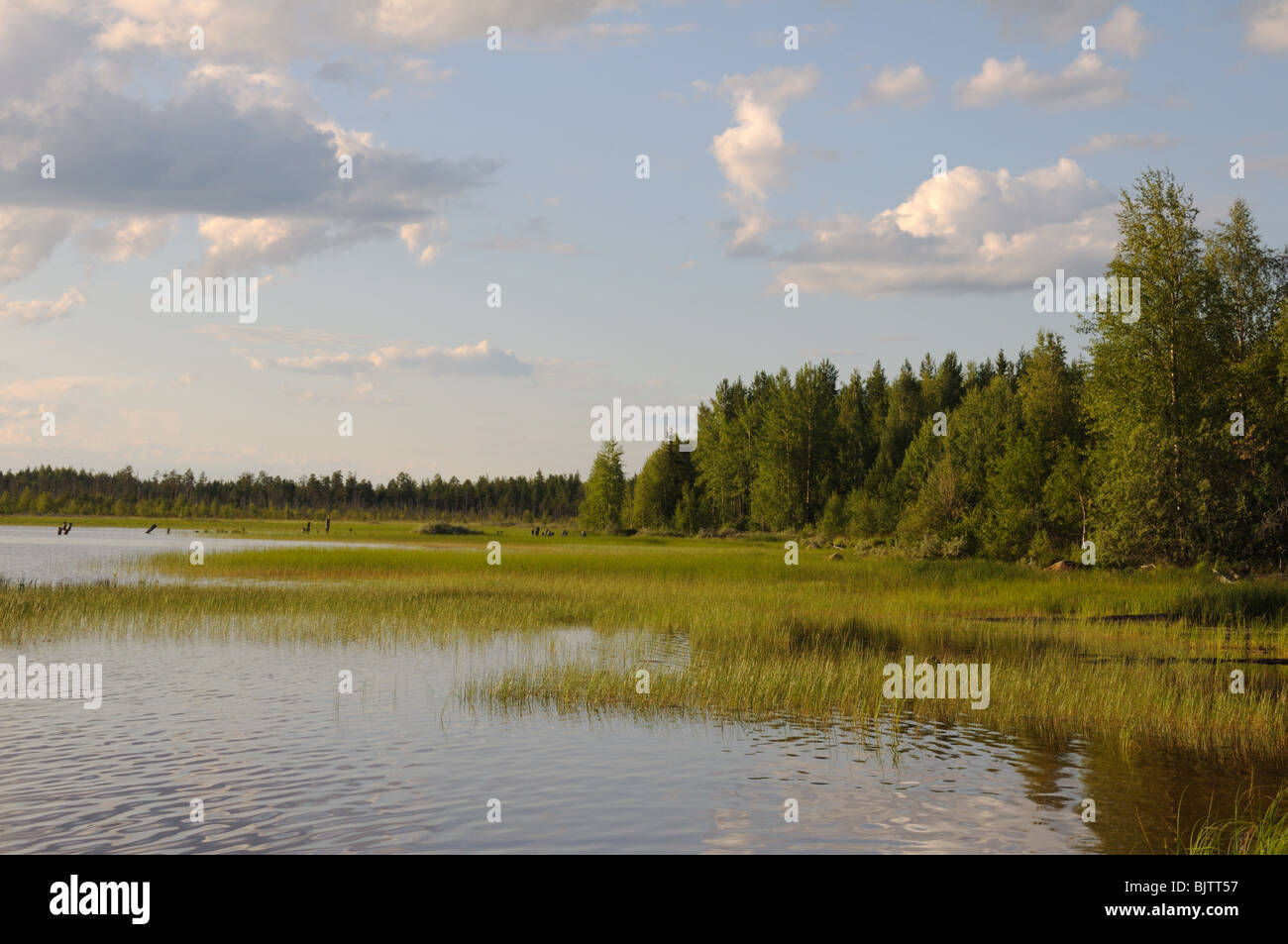 Das schöne Bild von Rückstau am Rande des nördlichen Sees auf einem bewölkten Himmelshintergrund Stockfoto