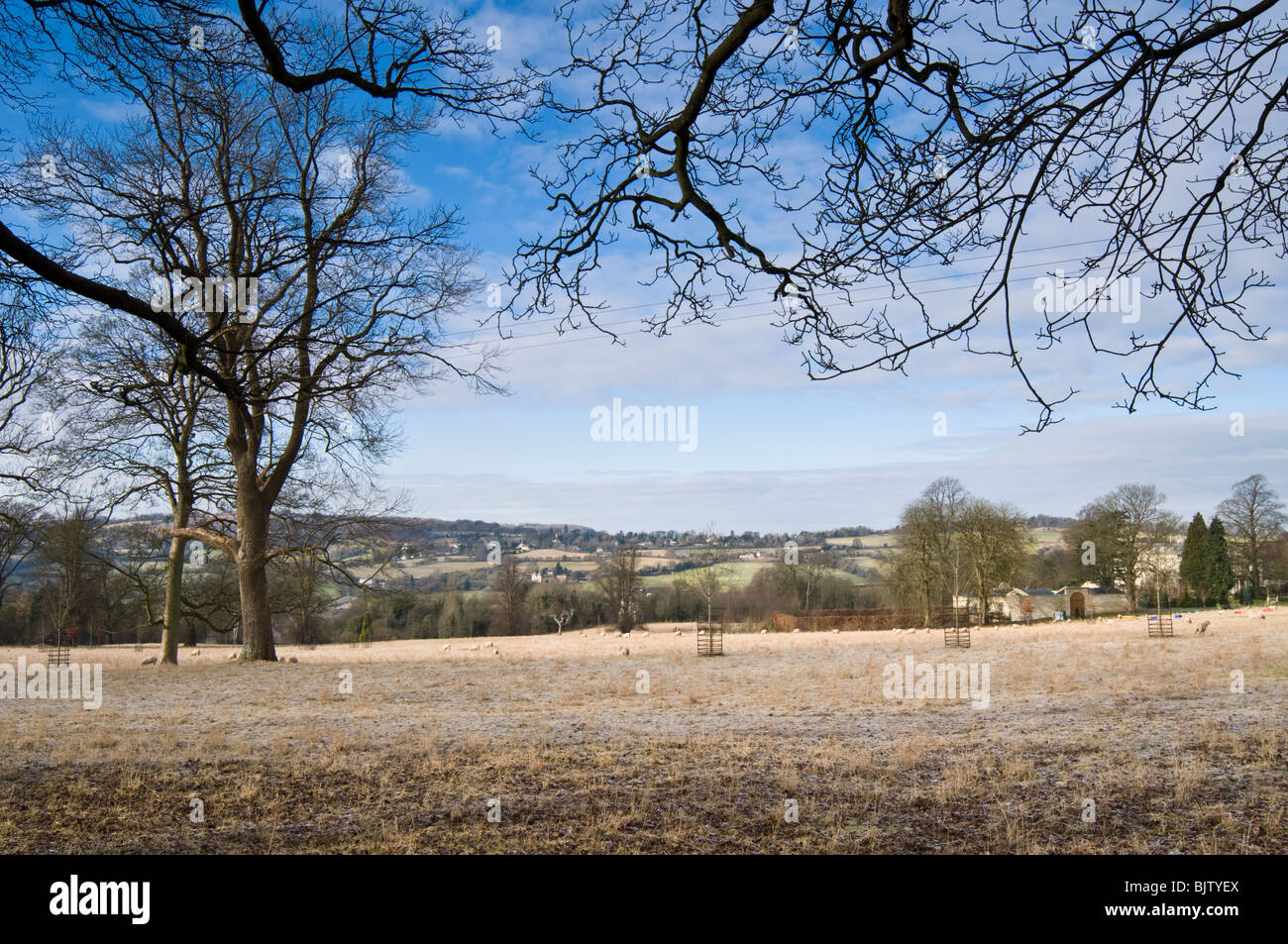Frostiger Morgen, Cotswolds, Gloucestershire, UK Stockfoto