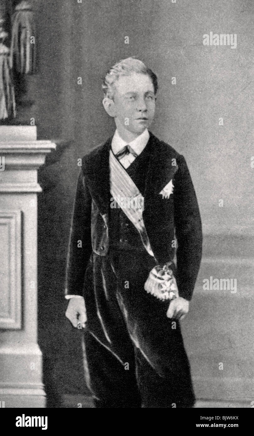 Napoléon Eugène Louis Bonaparte, Prince Impérial, by Alexander Bassano -  1878 Stock Photo - Alamy