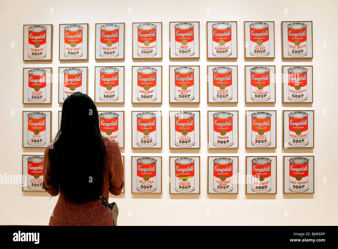 Campbellsuppe Suppendosen von Andy Warhol, 1962, MOMA, Museum of Modern Art in New York City Stockfoto