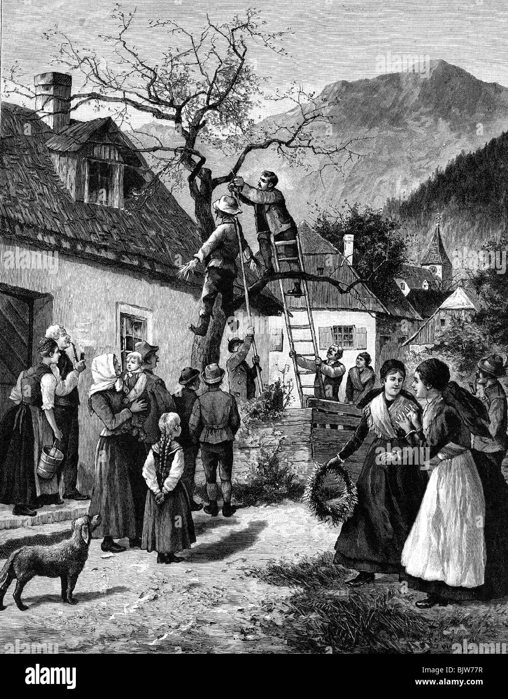 Festlichkeit, Pfingsten, Illustration 'Der Pfingstlotter', traditionelle Verzierung des Pentkostbaums, Holzgravur von Schlegel, 1890, Stockfoto