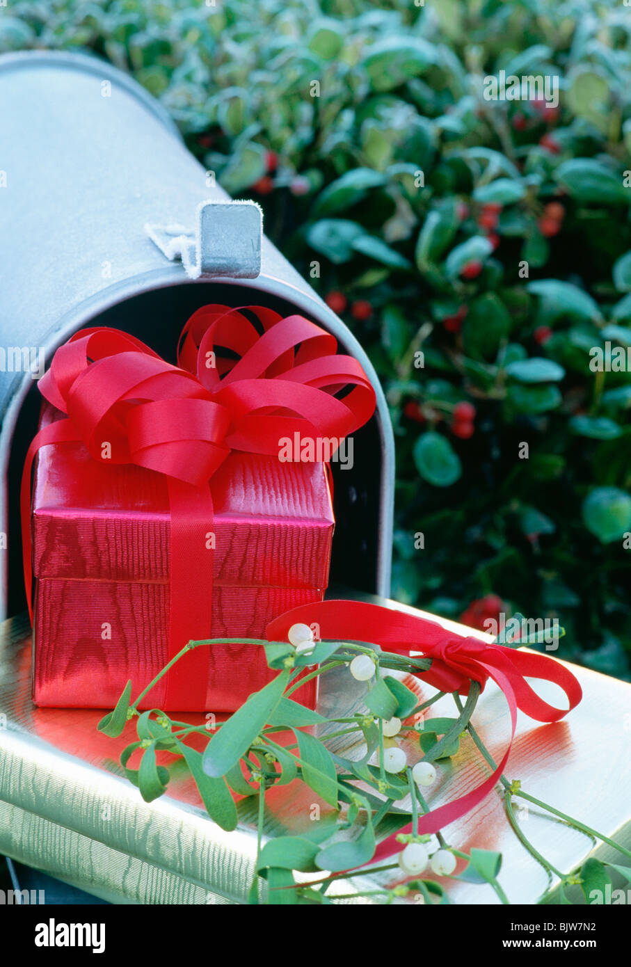 Geschenke und Mistel in der Mailbox (Briefkasten), USA Stockfoto