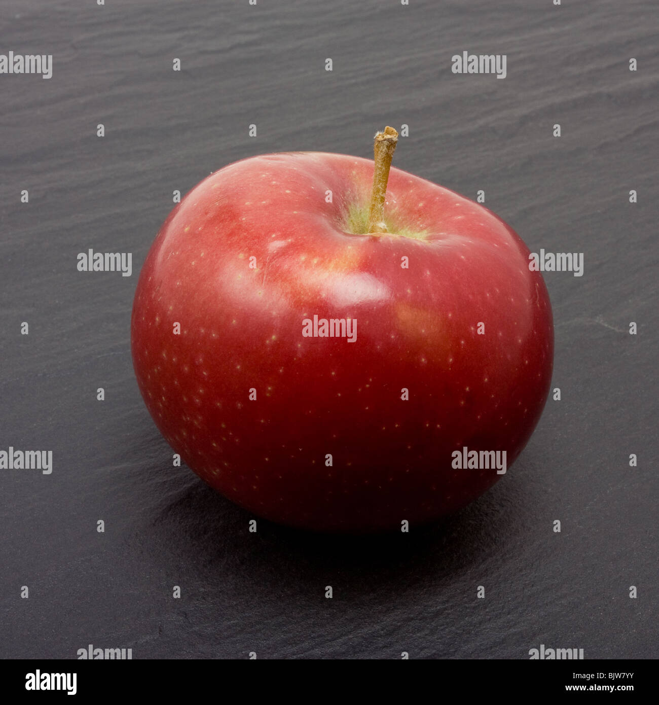 Glänzend rote Macintosh Apple dunklen Schiefer Hintergrund. Stockfoto