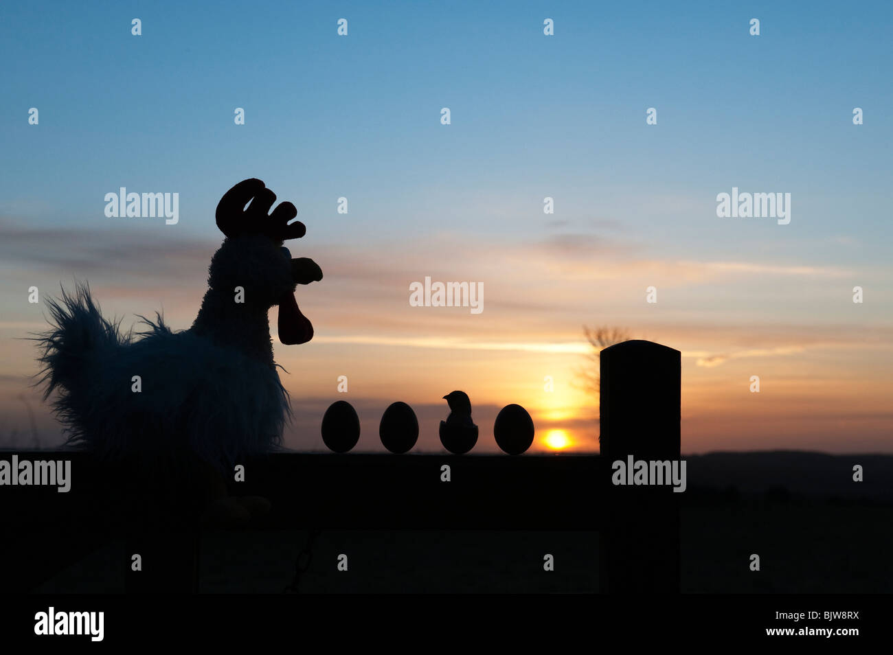 Stofftier Huhn mit Eiern und Küken auf ein Tor bei Sonnenaufgang. Silhouette Stockfoto