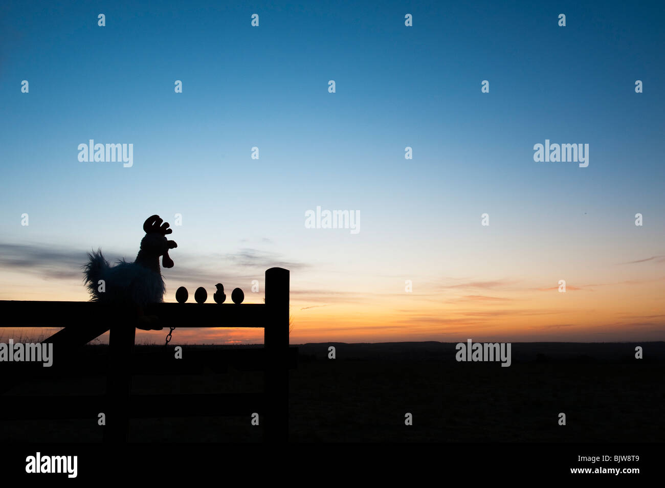 Stofftier Huhn mit Eiern und Küken auf ein Tor bei Sonnenaufgang. Silhouette Stockfoto