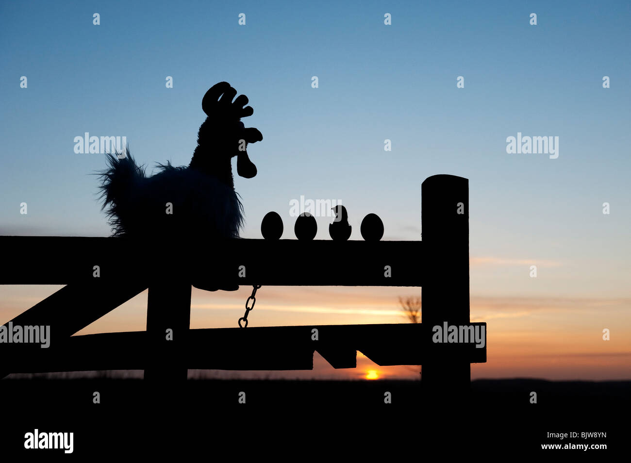 Stofftier Huhn mit Eiern und Küken auf ein Tor bei Sonnenaufgang. Silhouette Stockfoto