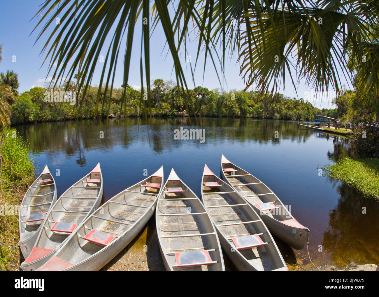 Kanus am Snook Haven Fische Camp am Myakka River in Venice Florida Stockfoto
