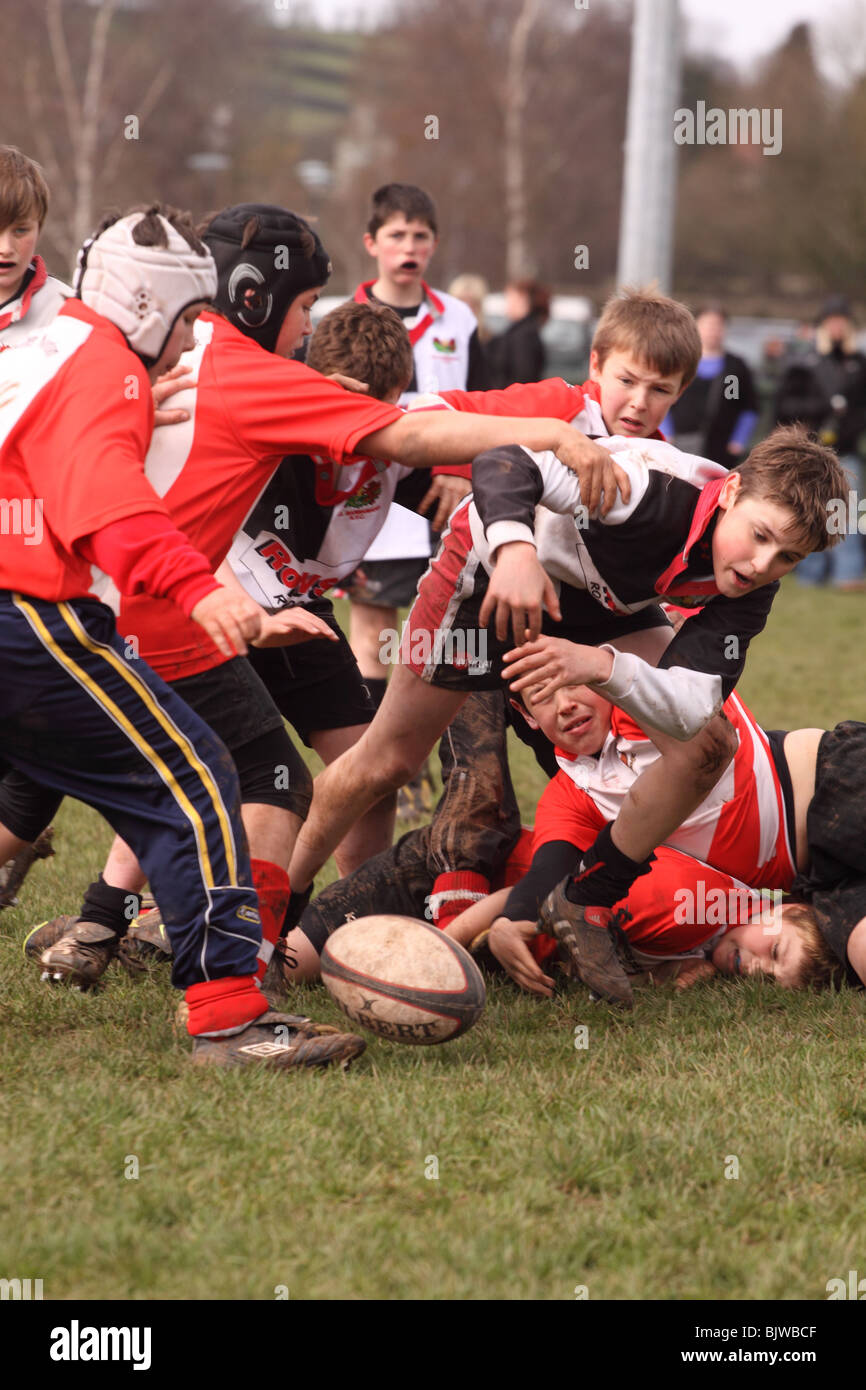 Junior jungen Rugbyspieler in Vereinswettbewerben entsprechen einem Zweikampf nur zur redaktionellen Nutzung den losen Ball nachzujagen Stockfoto