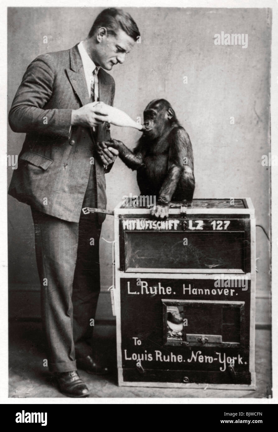 Eine ungewöhnliche Passagier, Zeppelin LZ 127 "Graf Zeppelin", 1933. Artist: Unbekannt Stockfoto