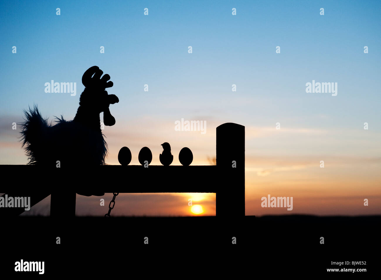 Stofftier Huhn mit Eiern und Küken auf ein Tor bei Sonnenaufgang. Silhouette Stockfoto