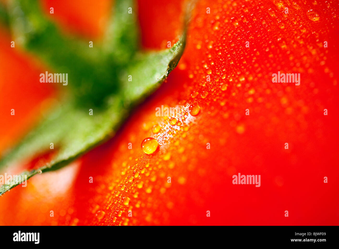rote Tomate mit Wassertropfen Makro Hintergrund Stockfoto