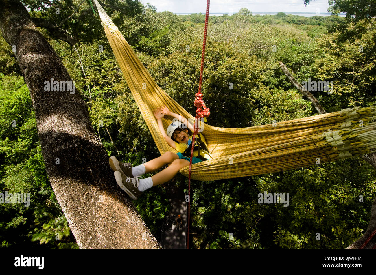 Tree Climbing Aktivitäten aus tropischen Baumklettern in die Ariau Amazon  Towers Ecolodge. Hängematte auf Baumkronen Stockfotografie - Alamy