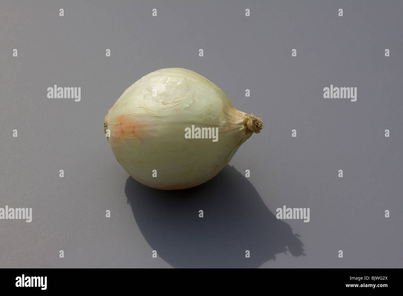 Weiße Zwiebel, durch Dembinsky Foto Assoc Stockfoto