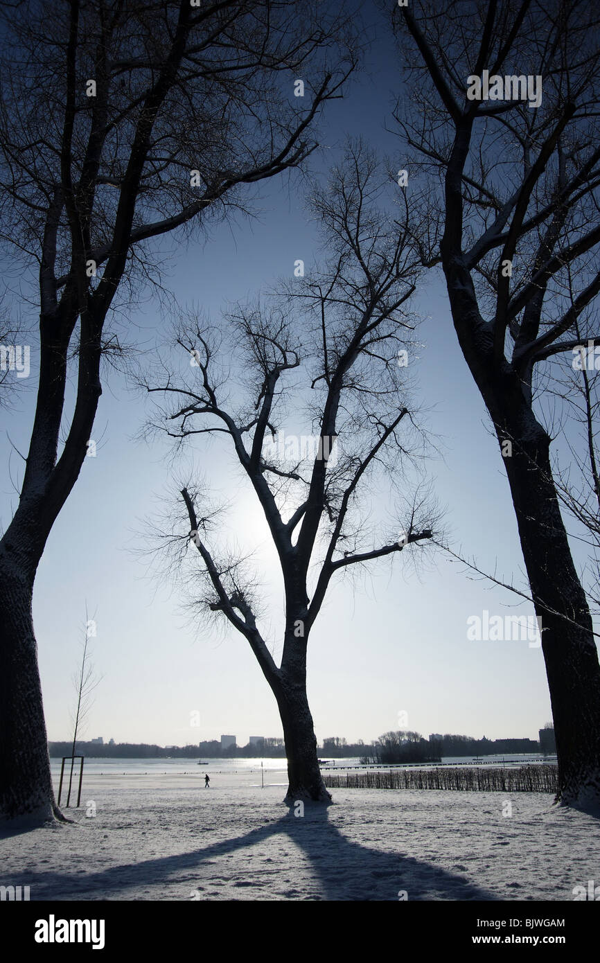 Drei Bäume Silhouette gegen blauen Himmel Sonnenlicht gefrorene Seefläche Winter klar sonnigen kalten Tag fernen Horizont Kralingse Bos Stockfoto