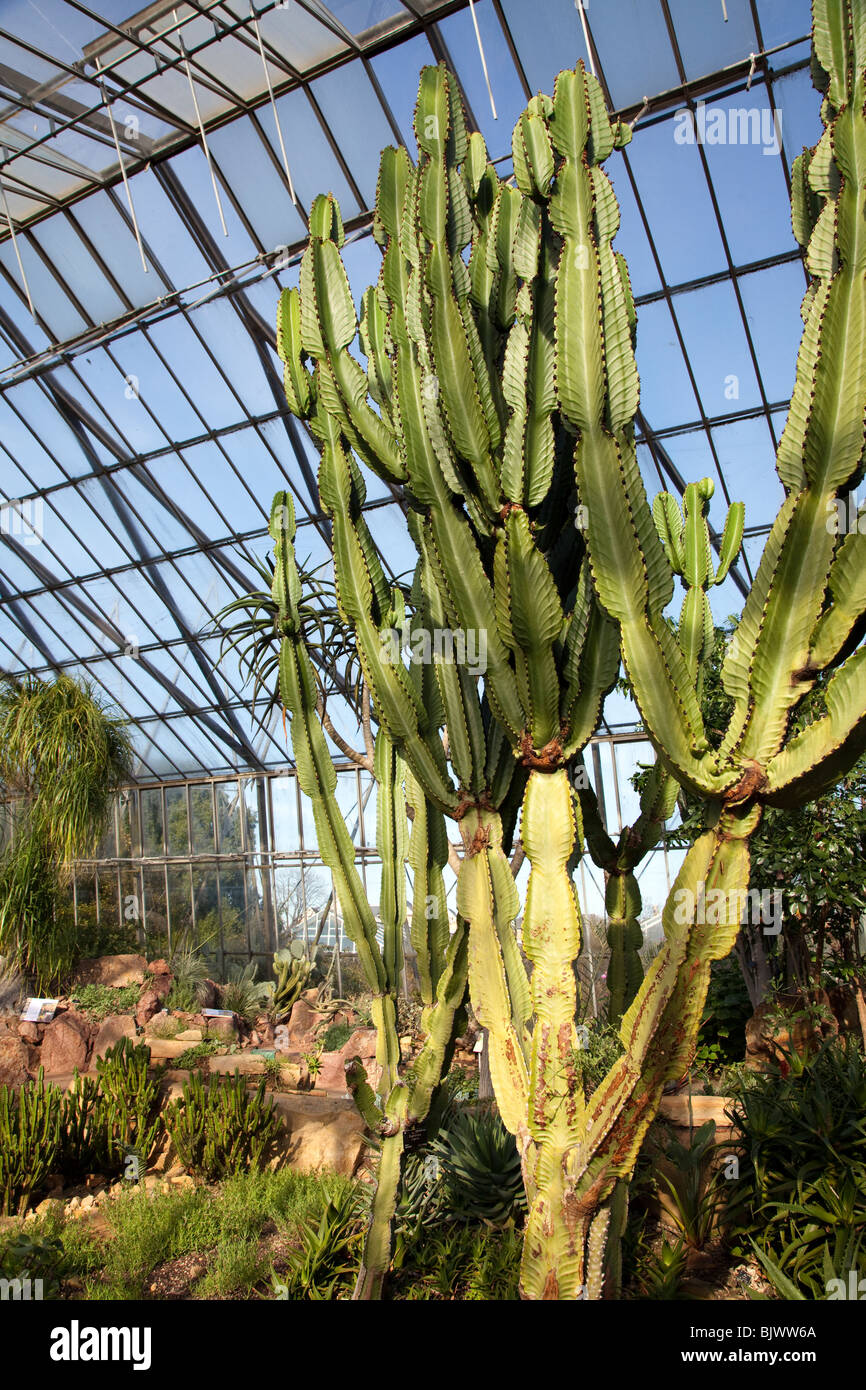 Royal Botanic Garden Edinburgh, Schottland Stockfoto