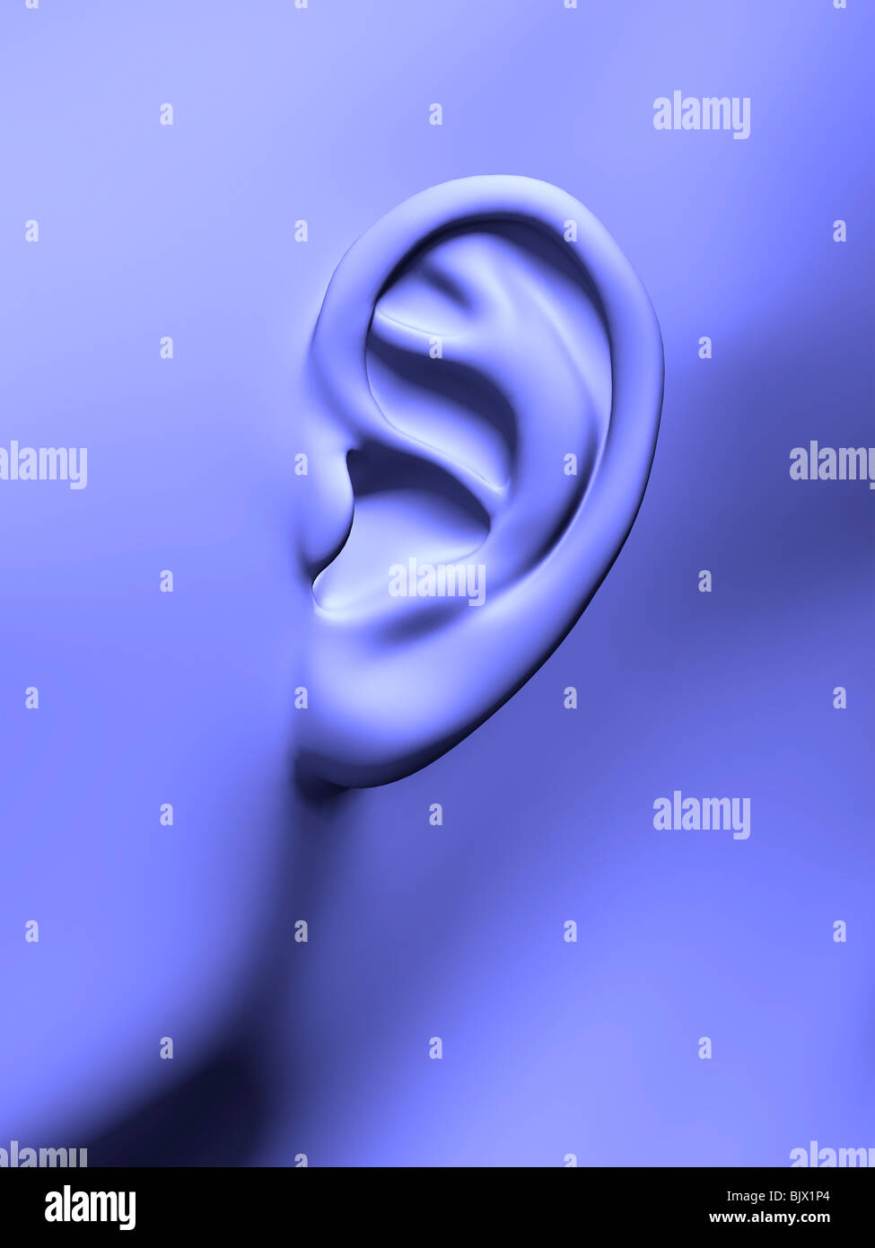 Menschliche Ohr (CGI). Stockfoto