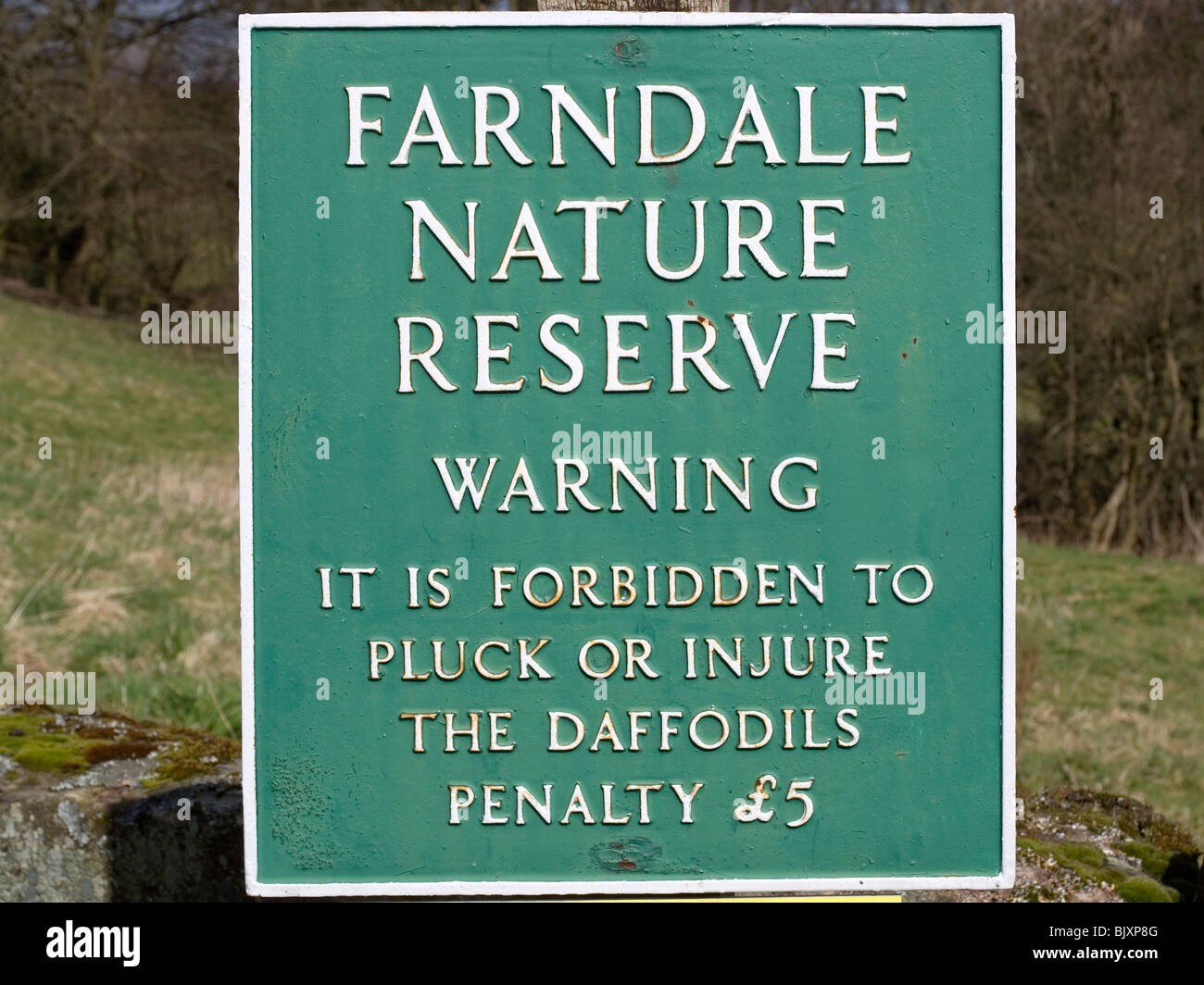 Schild am Beginn der Narzissen Wanderung in Farndale North Yorkshire besagt "Verbotene zu zupfen oder verletzen die Narzissen Strafe £5" Stockfoto