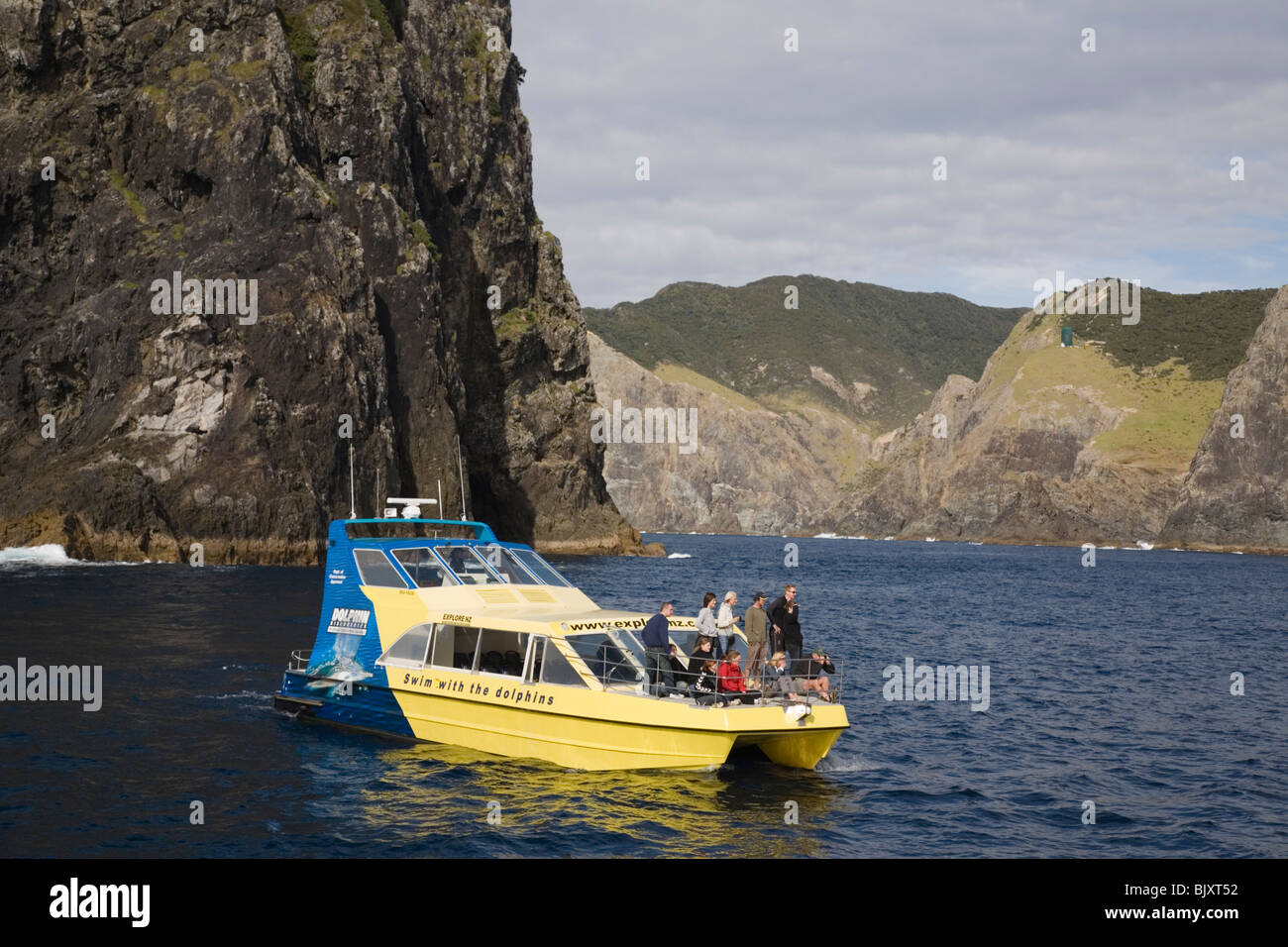 Bay Islands Nordinsel Neuseelands. Delphine beobachten Reisegruppe durch Piercy "Hole in the Rock" Insel vor Cape Brett Stockfoto