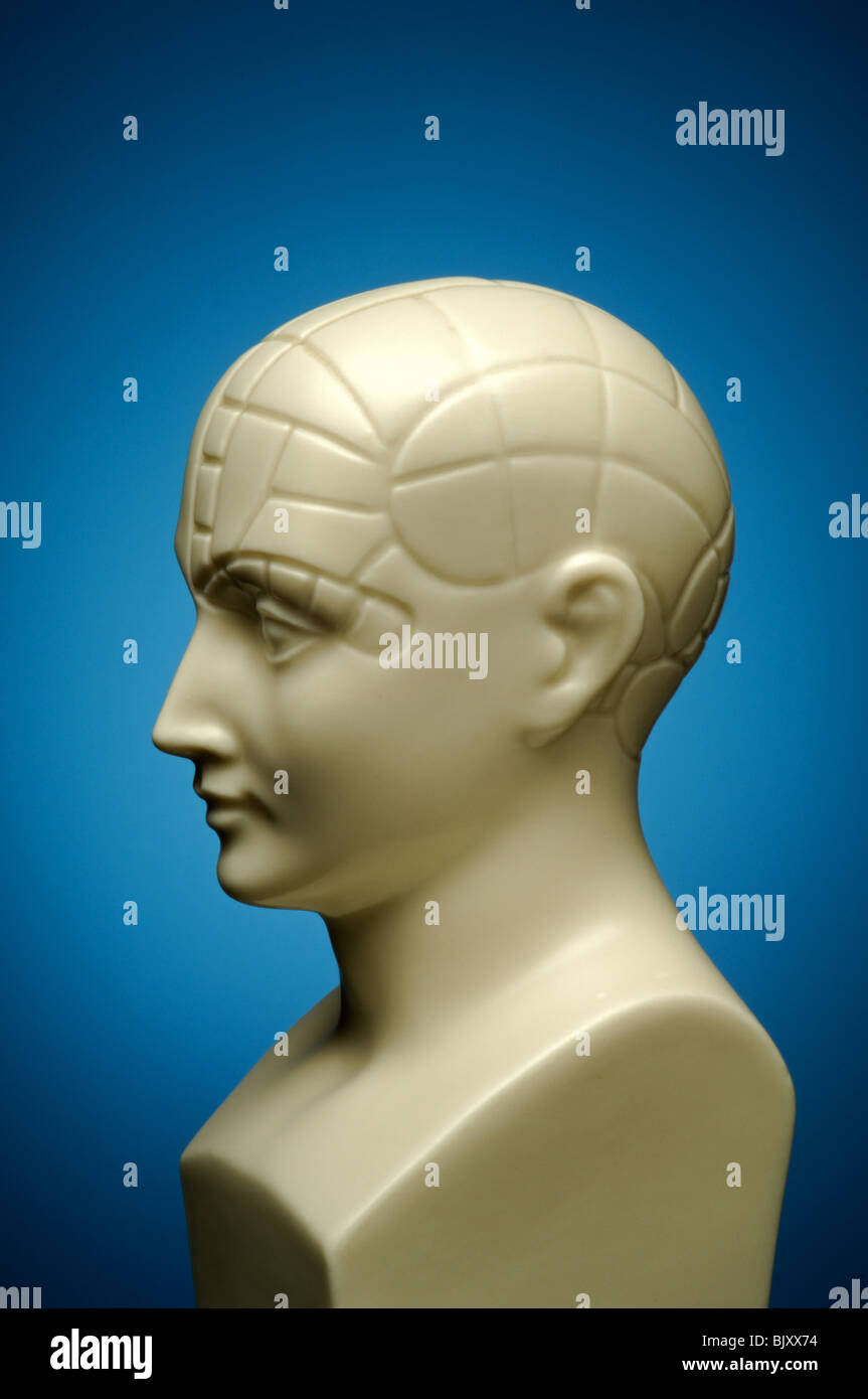 Eine Büste von Phrenologie Kopf, Profil Stockfoto
