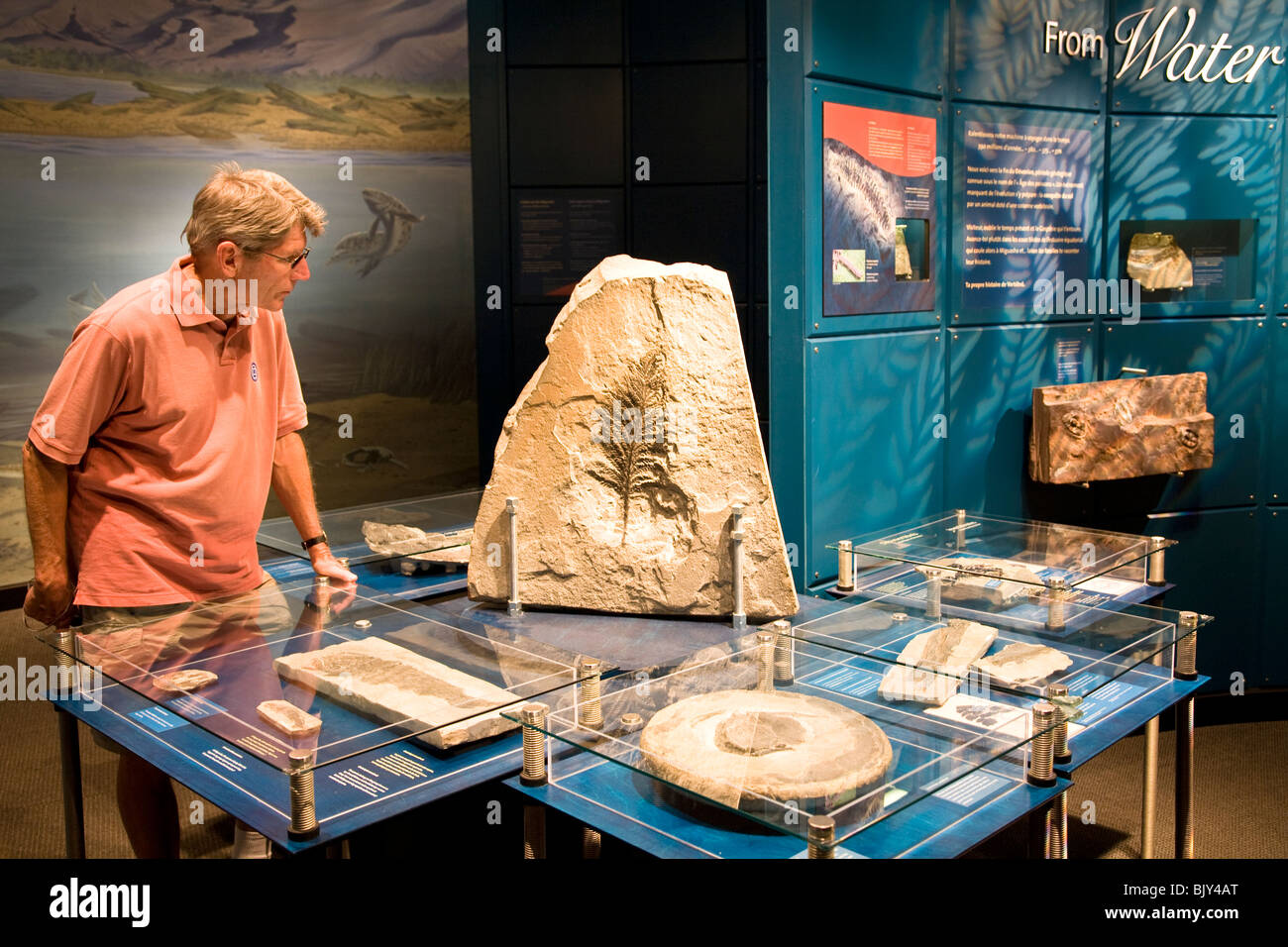 Parc National de Miguasha, ein UNESCO-Weltkulturerbe und zweitgrößte Fossil Site in der Welt-Quebec-Kanada Stockfoto