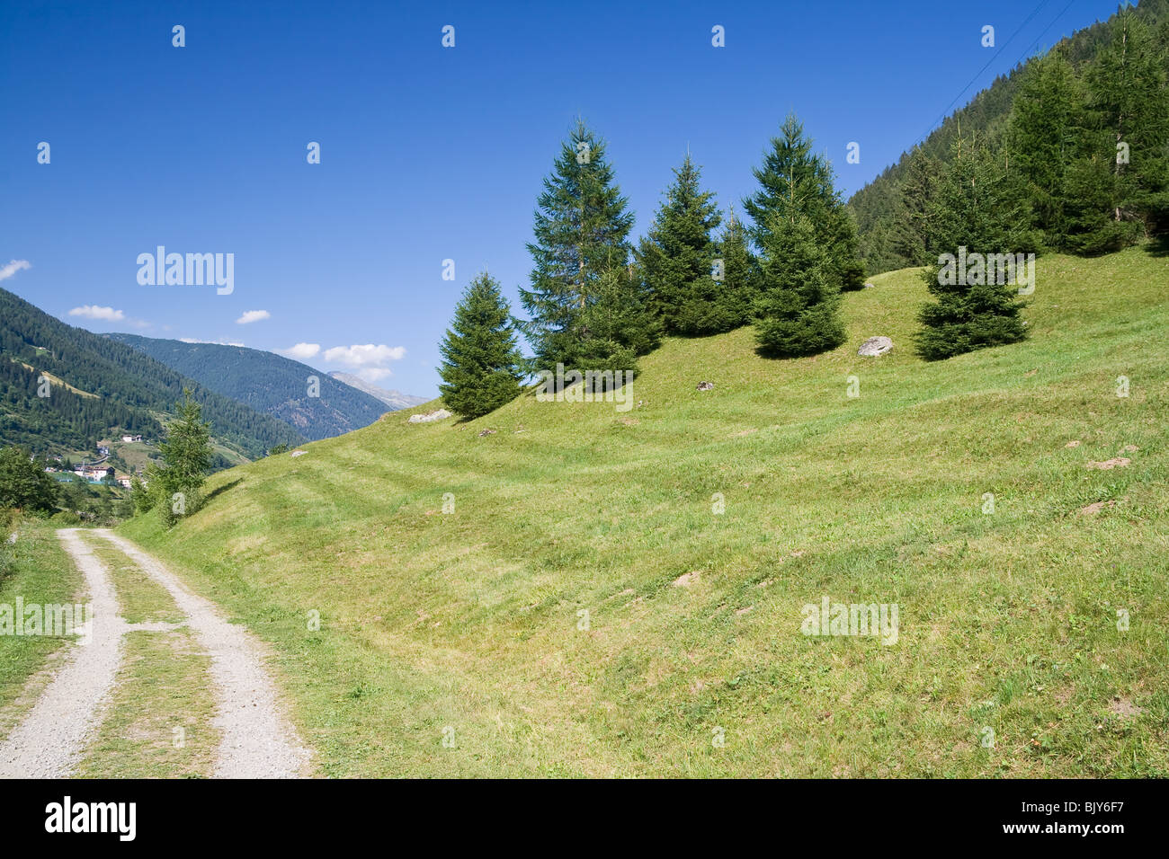 Sommer-Ansicht des Val di Sole, Trentino, Italien Stockfoto