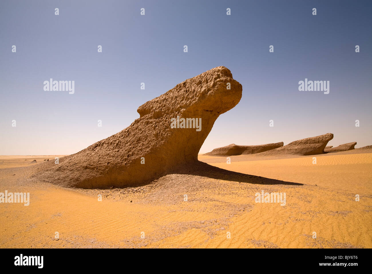 Nahaufnahme von Yardangs, oder Schlamm Löwen, in Mitte Tag Sonne in der Wüste Sahara, auf dem Weg nach Gilf Kebir, westliche Wüste Ägyptens Stockfoto