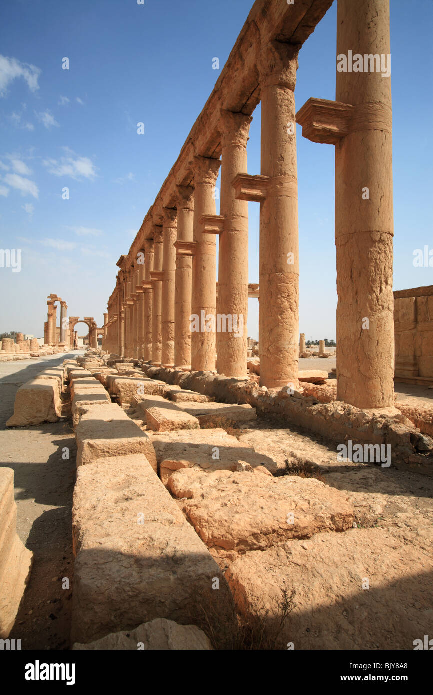 Kolonnade in den Ruinen von Palmyra, Syrien Stockfoto