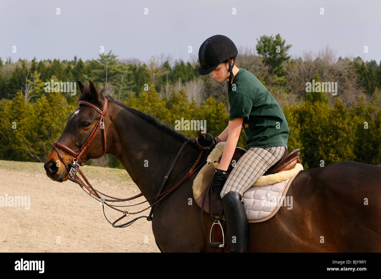 Teenager Reiter auf Pferd anpassen Tack, immer bereit, außerhalb im Frühjahr fahren Stockfoto