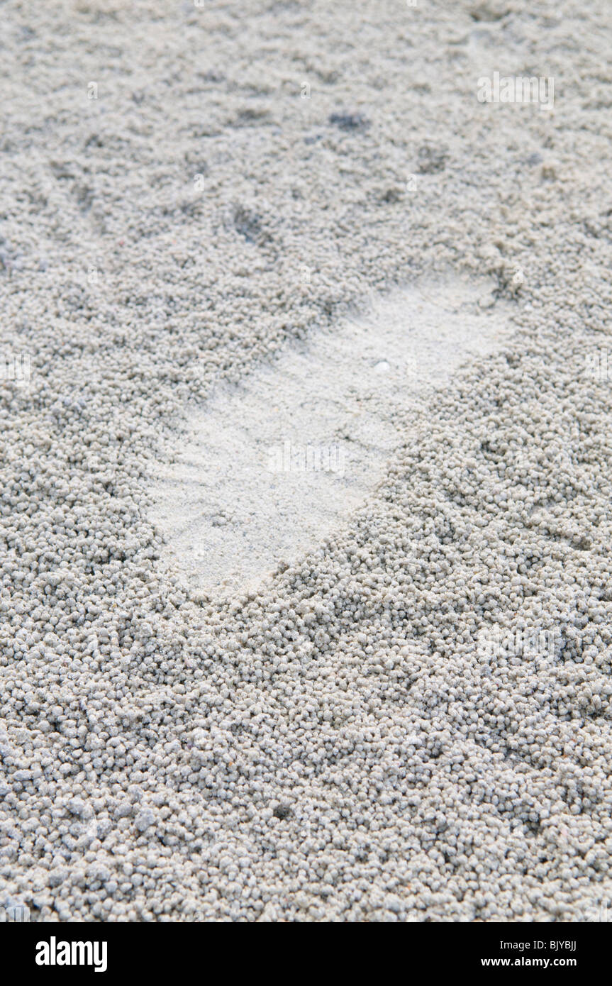 Fußabdruck im Sand Krabbe Kugeln Stockfoto
