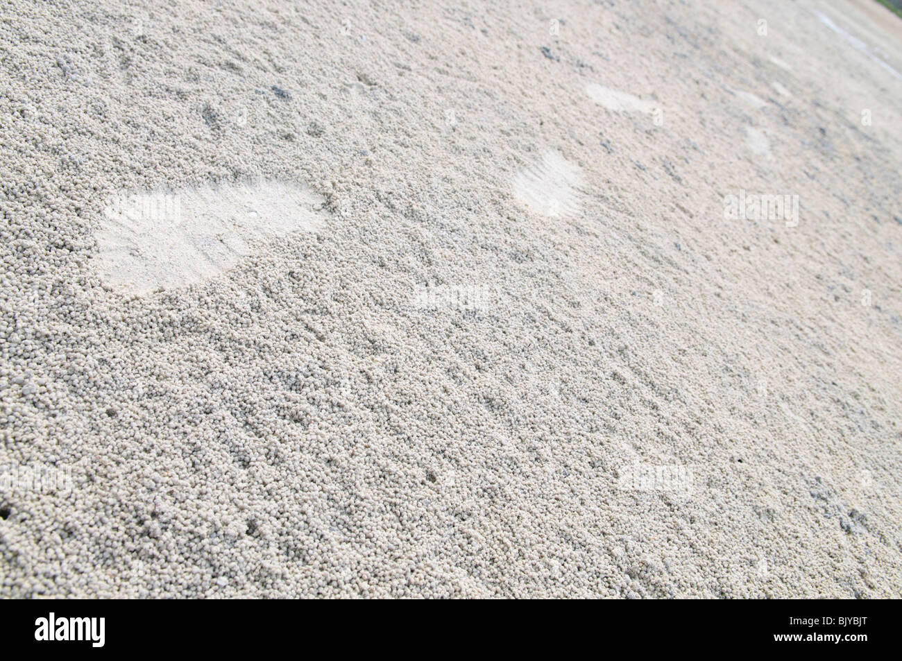 Fußspuren im weißen Sand Kugeln von Krabben Stockfoto