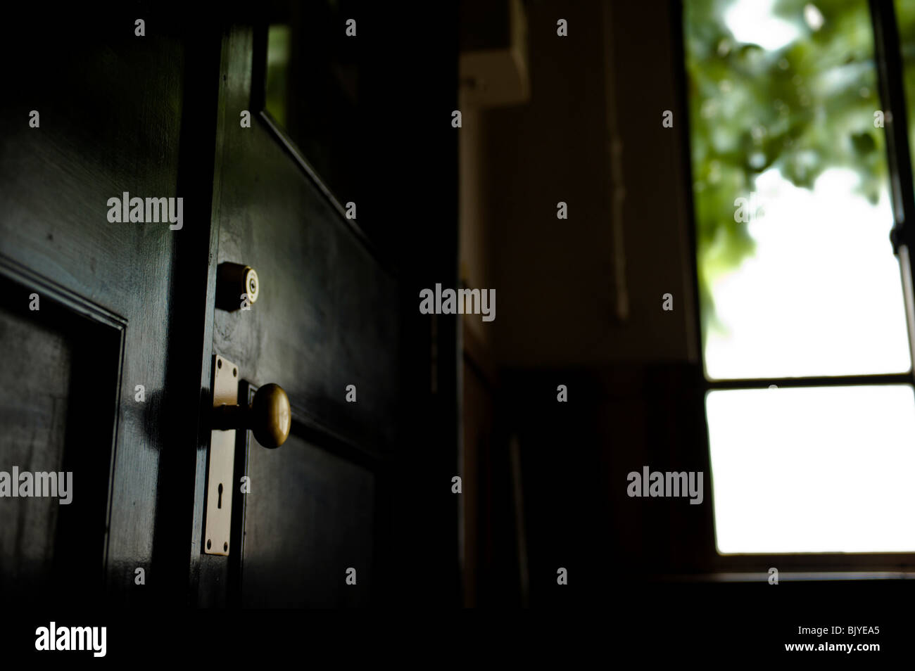 Türklinke, close-up Stockfoto