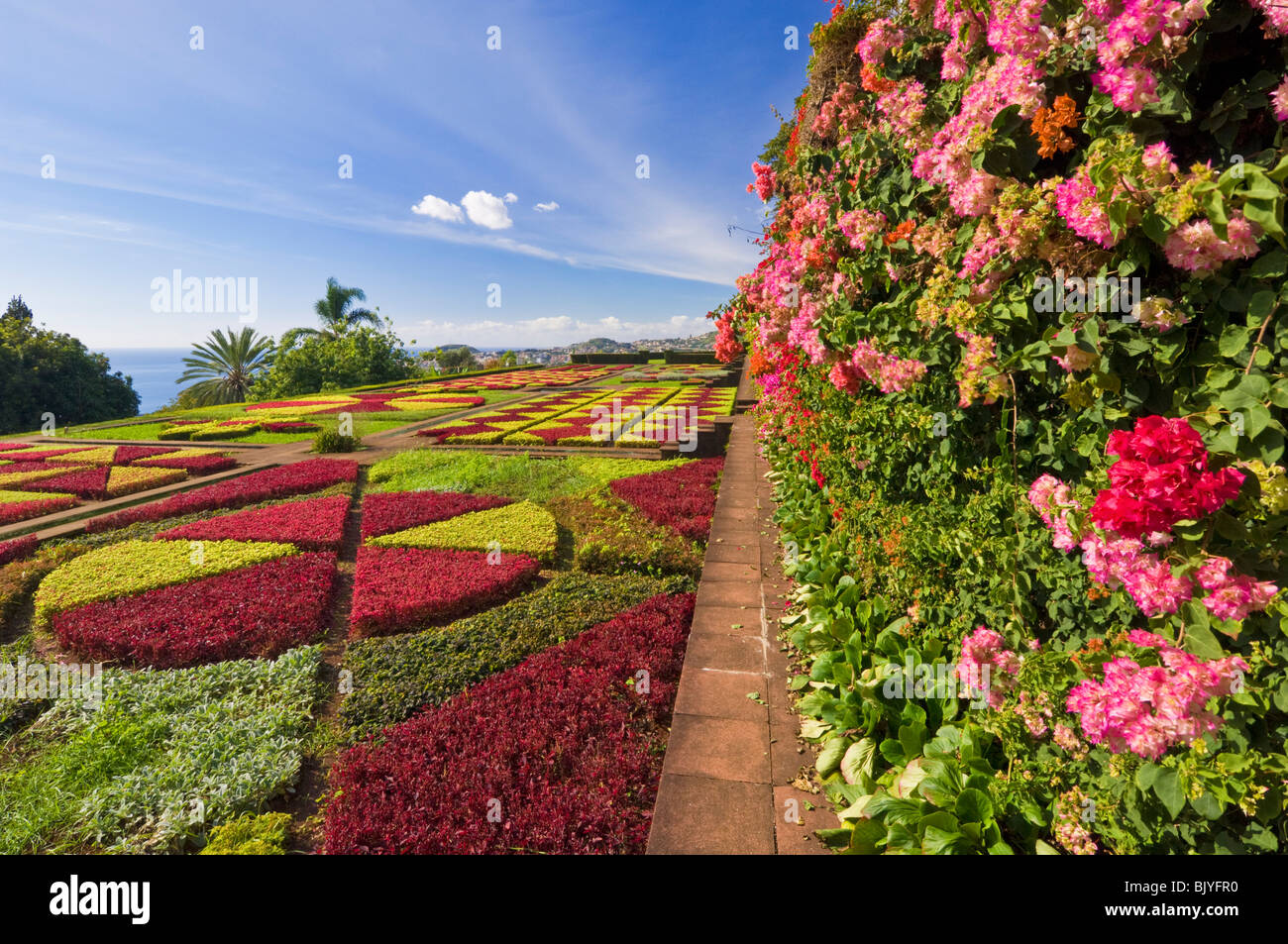 Die formale Gärten an den Botanischen Garten Jardim Botanico Funchal Madeira Portugal EU Europa Stockfoto