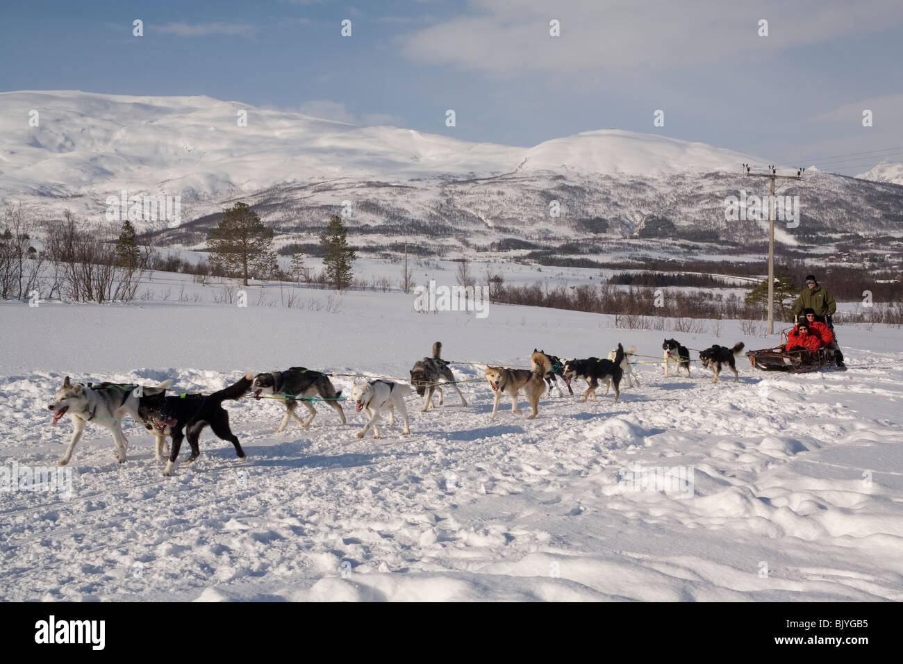 Norwegen-Tromsø-Hundeschlitten Stockfoto