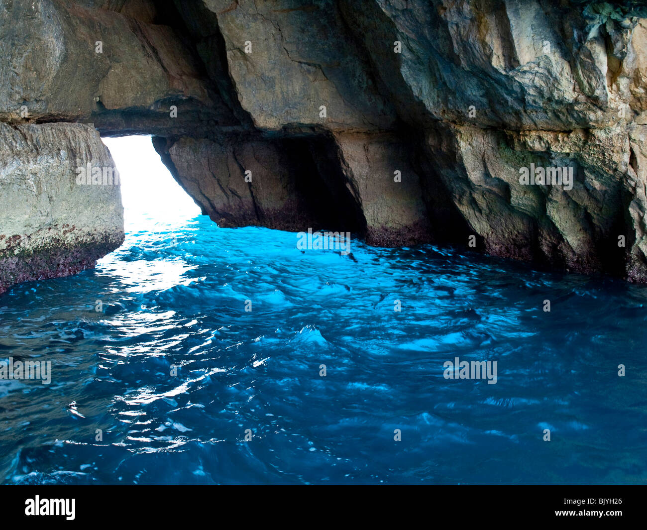 Blaue Grotte auf Malta Stockfoto